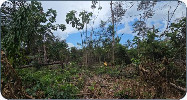 Terreno en remate