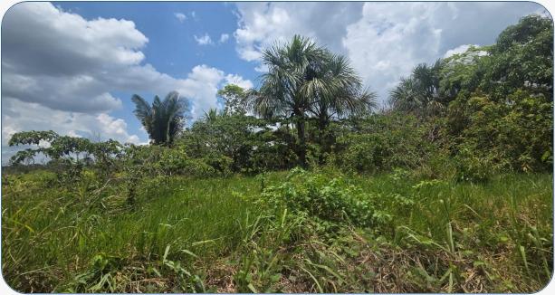 Terreno en remate