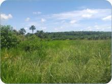 fachada de predio rural