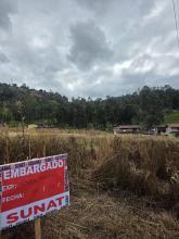 Foto del inmueble